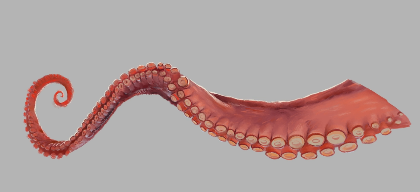 章鱼触手怎么画图片