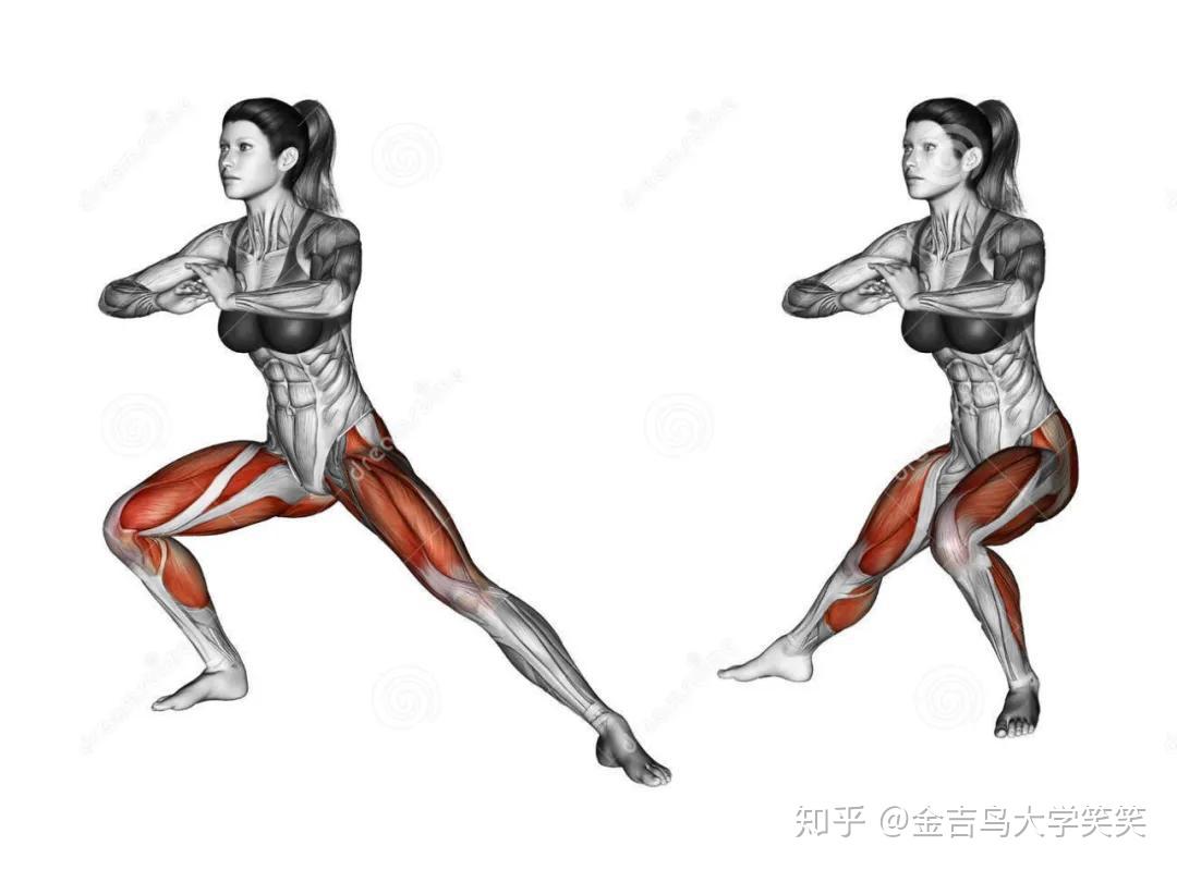 30张下半身肌肉训练图谱,一次看懂哪个动作练哪块肌肉