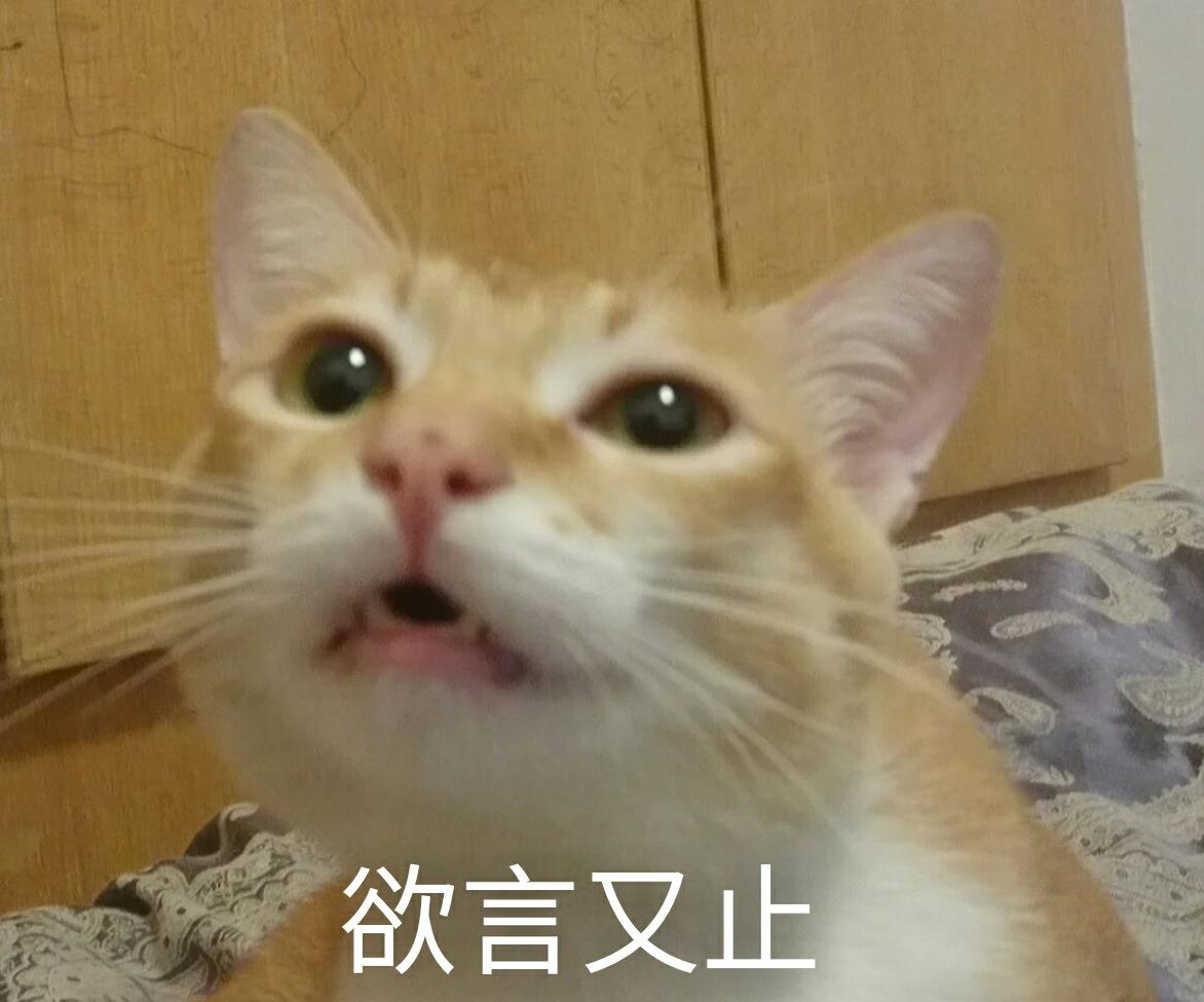 长期养猫后,肺里会积存很多猫毛吗? - 言可息的