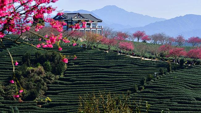 哲理名言 莱布尼茨 知乎