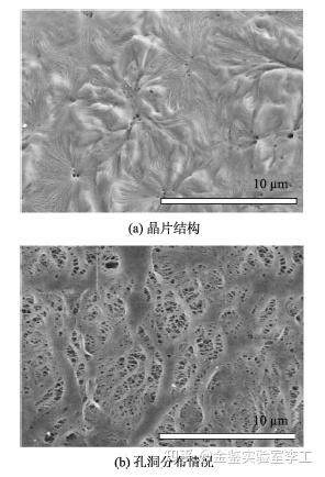 扫描电镜（sem）的基本原理、构造、优势以及在实际中的应用 知乎 