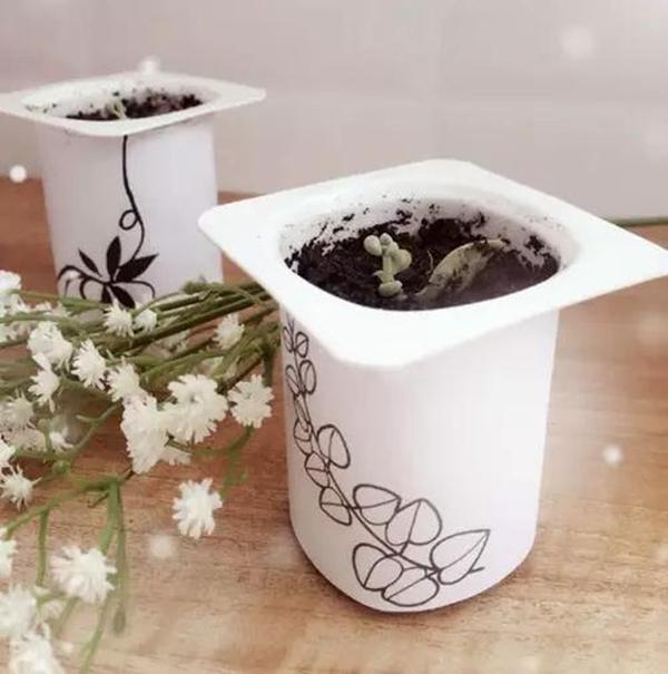还在买花盆看酸奶盒子怎么摇身一变变成养花利器