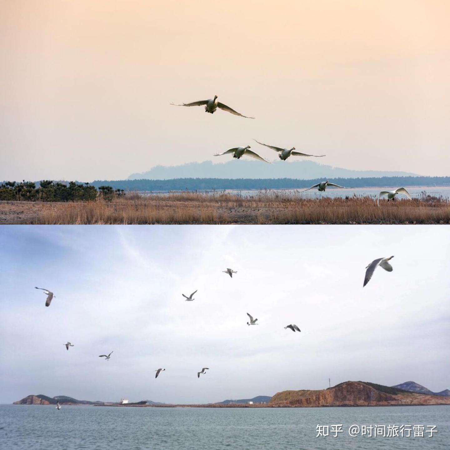 威海旅行干货贴|人少好玩的景点都在这里 - 知乎