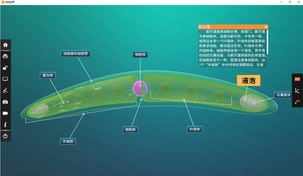【高中生物】液泡知识大全，虚拟仿真资源自取！ - 知乎