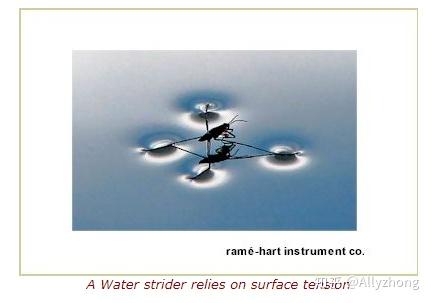 表面张力和粘度之间的关系及表面张力测量 - 知乎