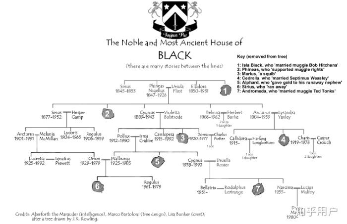 知乎大神可否整理一下哈利波特人物關係最好有親子孫世代純血家族誰是