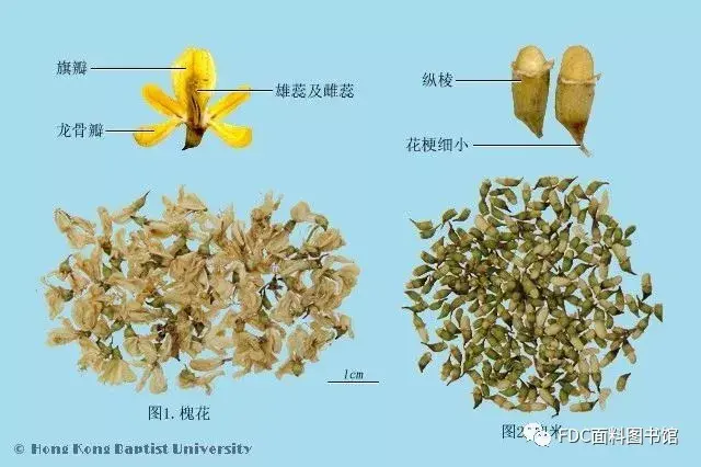草木染——中国古代绝美的自然染色技法 - 知乎