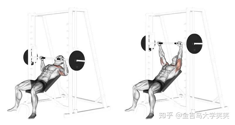 如何练习手臂肌肉用哑铃 v2-2f1952c843d2c45cea314d285b58be7e_r.jpg
