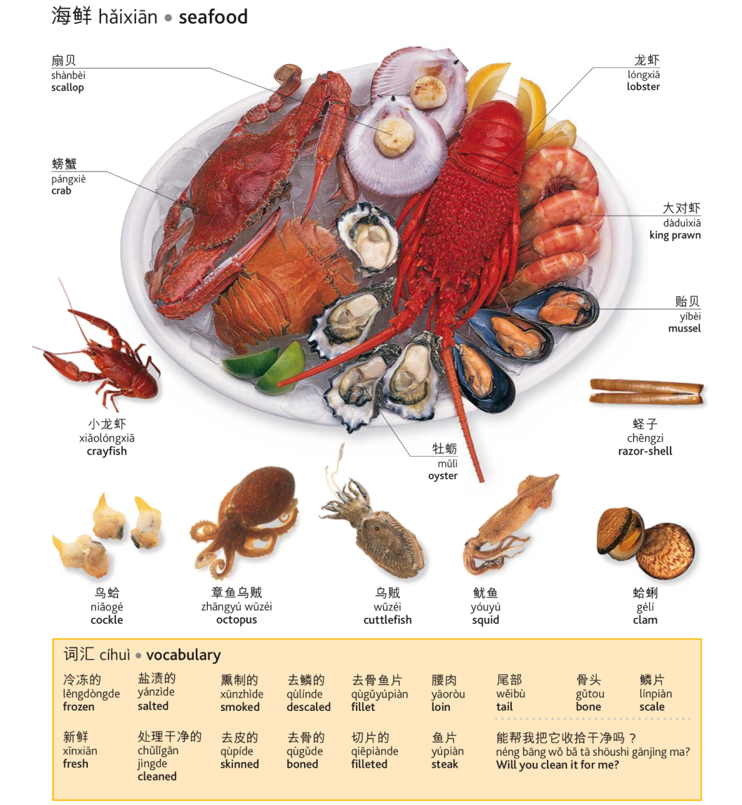 龙虾的英语单词图片