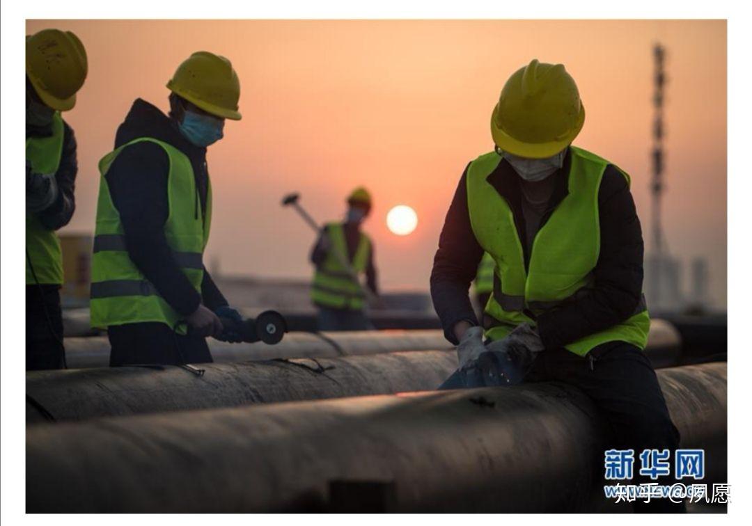 谈谈在疫情中沉默的英雄