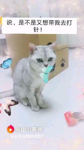 v2-2f32396ab9e4d710de14453d2c0f19d7.jpeg