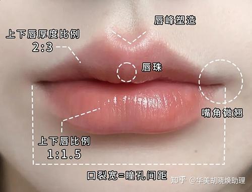 一张图看懂玻尿酸丰唇 - 知乎