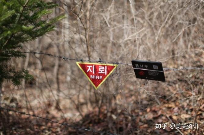 裸木的天堂韩国江原道杨口郡