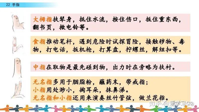 部编版语文五年级下册第22课《手指》课文朗读+知识要点+图文讲解+同步练习 - 知乎