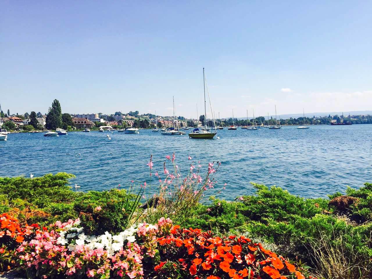 瑞士莫尔日鲜花盛开四季赫本长眠于此