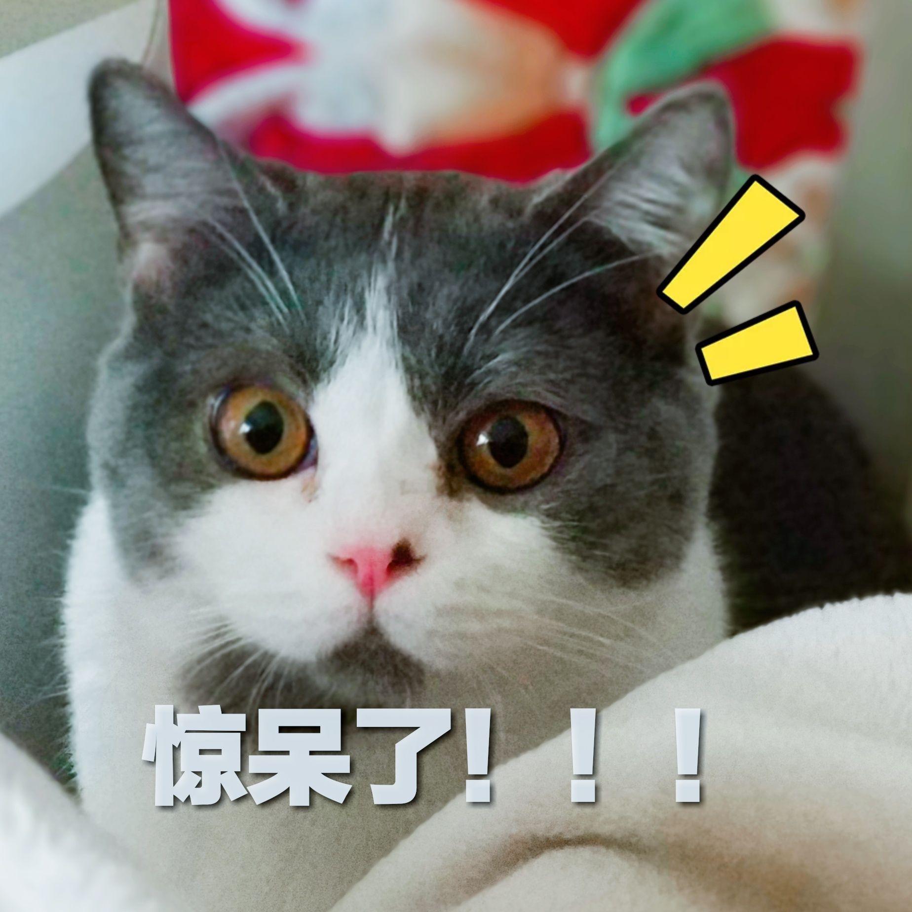 农村兄弟之间因住地盖房纠纷,矛盾达到了打官司的程度,该怎么解决?