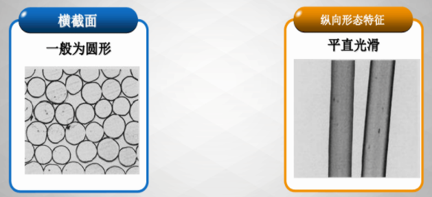 锦纶截面采用熔纺法制得的锦纶在显微镜中观察到的形态结构具有圆形的