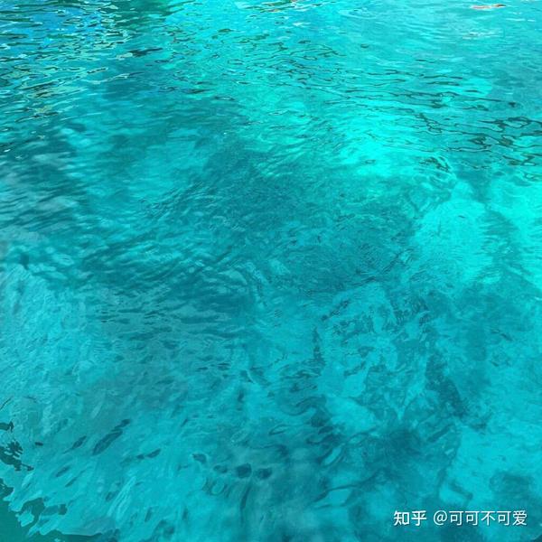 英文治愈的文案(干净治愈英文系列文案)