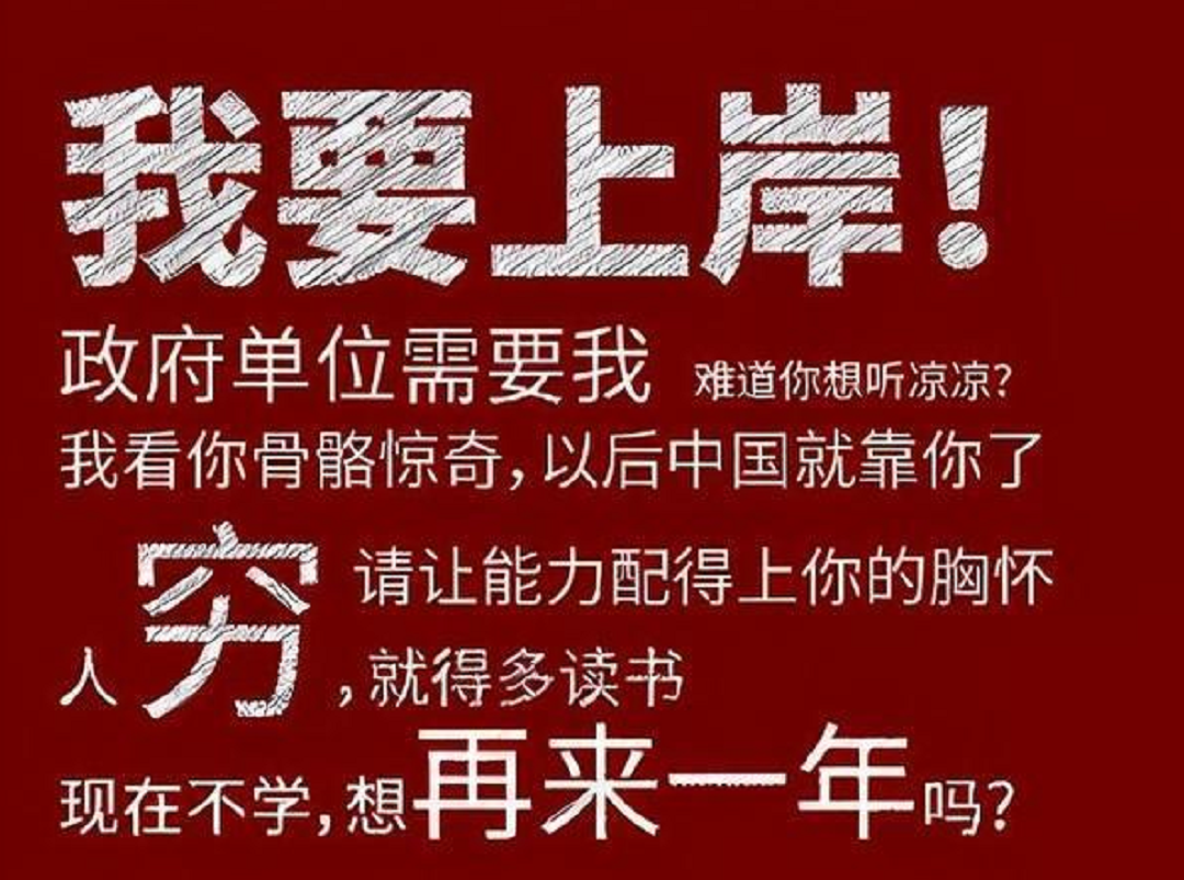 背后的故事:摄影爱好者分享作品被百度收录的秘诀与经历