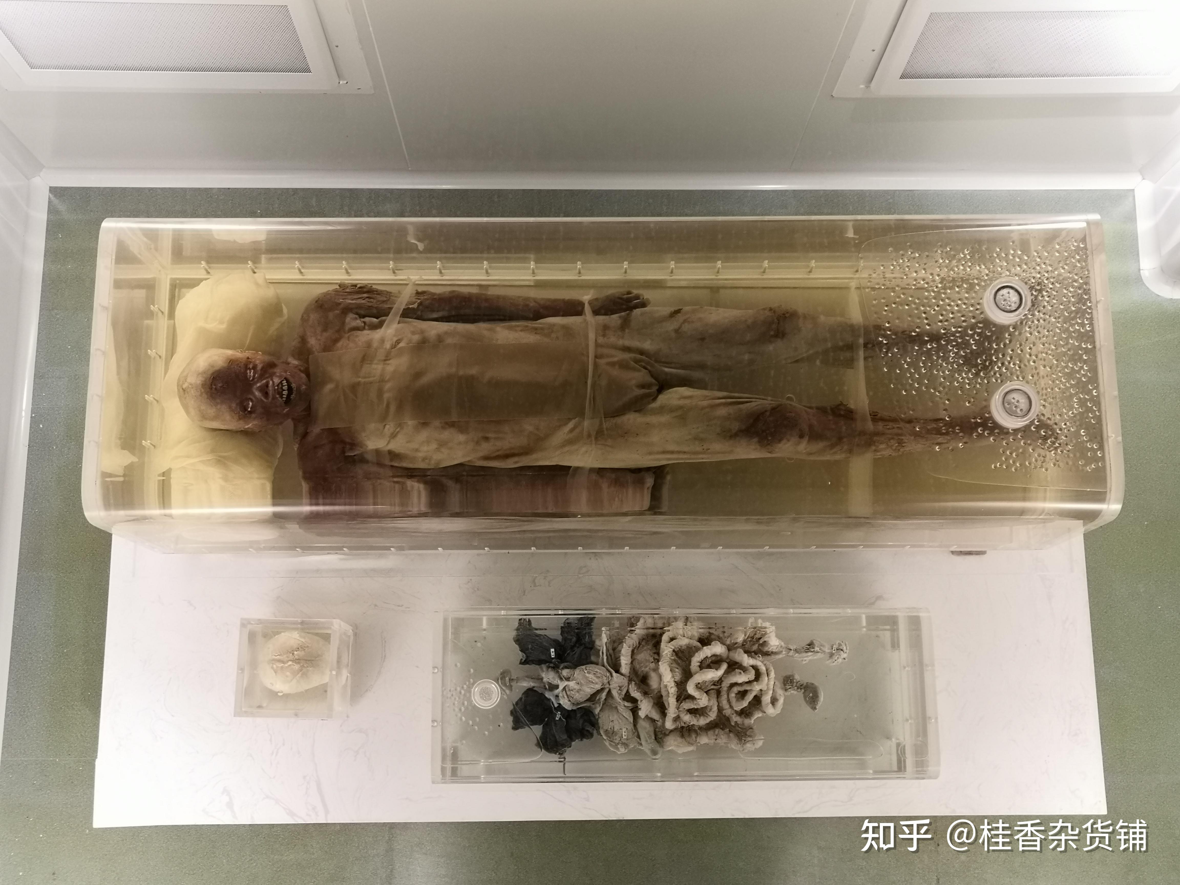 五大夫遂检测身长1.678米,体重52