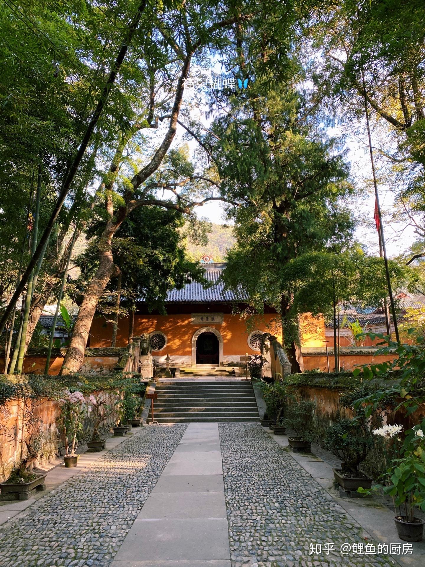 这可能是最佛系的千年古刹了吧 自在国清寺