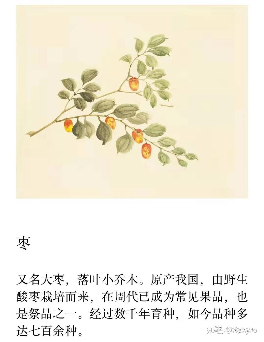 诗经今译豳风不是结束的结束周公二次东征的功业振衰起弊留有希冀