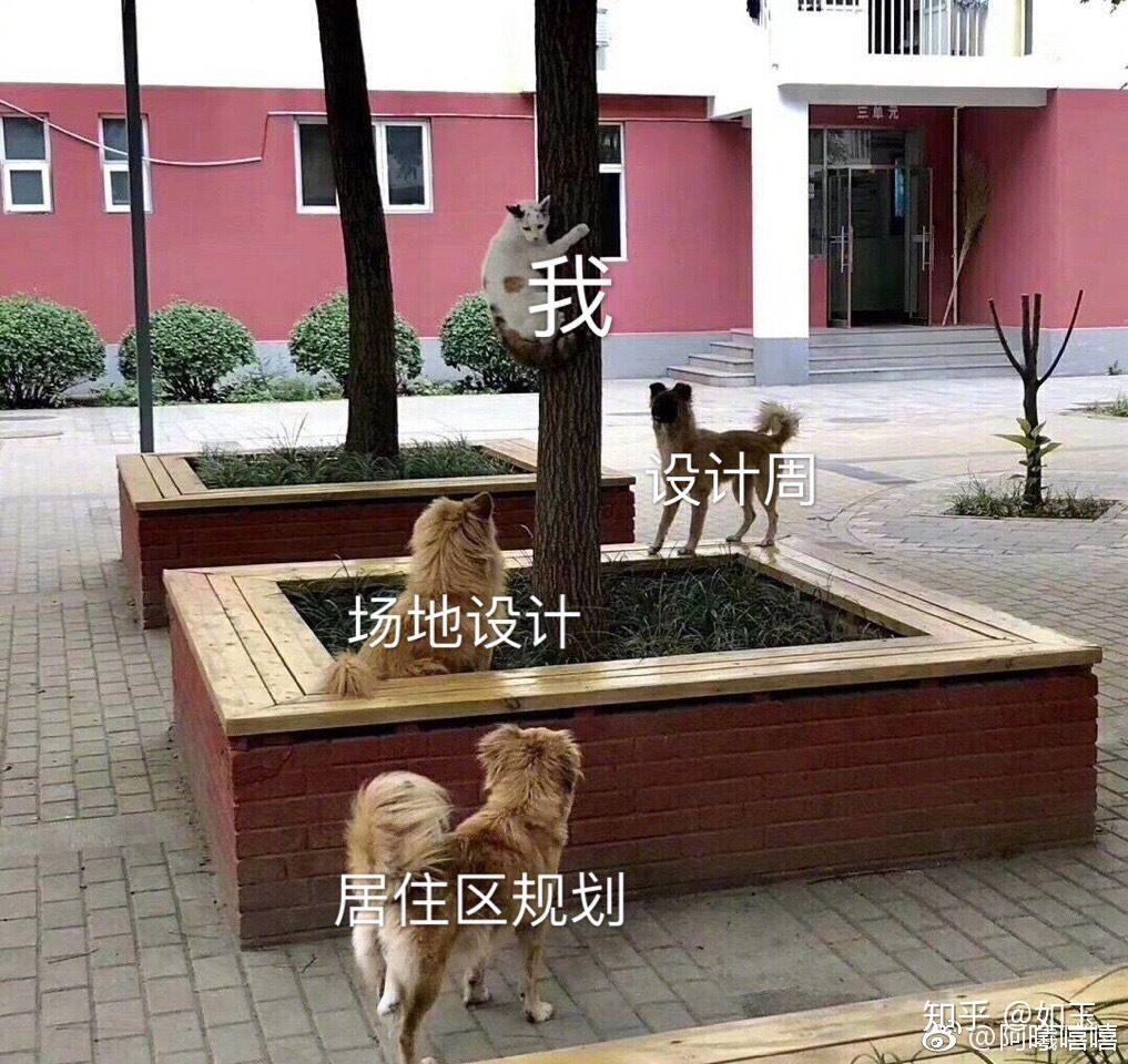 有哪些有趣的建筑专业表情包(°ー°〃)?