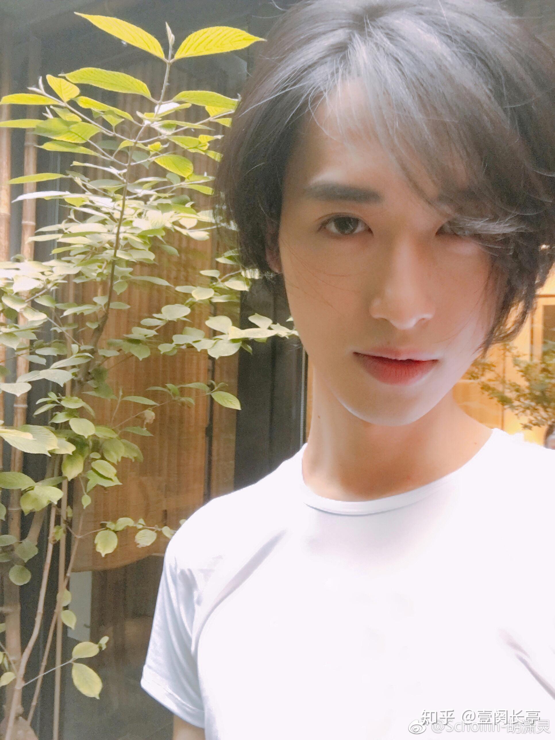 如何评价明药的小说《少帅你老婆又跑了》