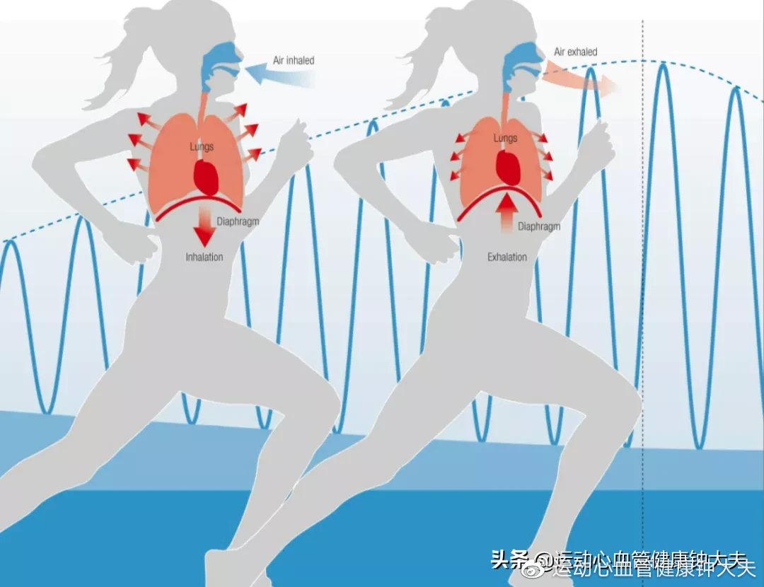 跑步時我是用嘴還是用鼻子來呼吸會比較好