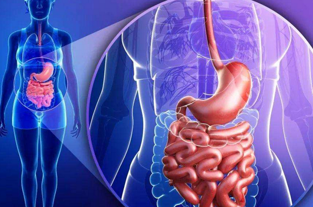 饭后喝酸奶有助于消化专家揭晓答案能调节肠胃的另有其物