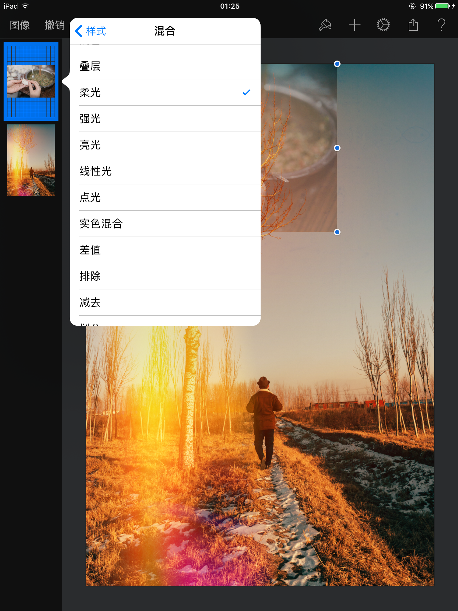 荐书一个ios平台的ps级别修图软件pixelmator