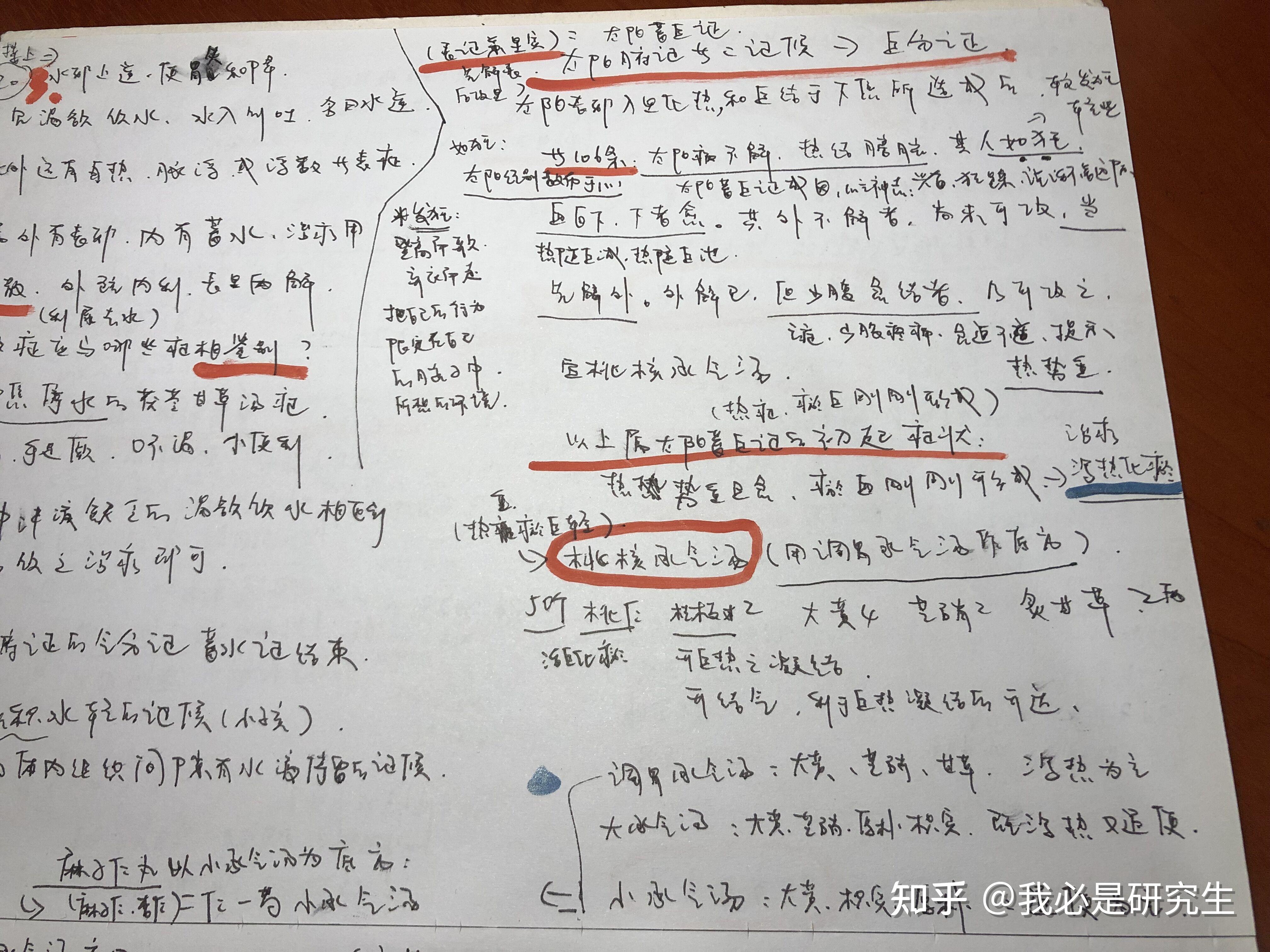 《伤寒论》太阳篇15--太阳蓄血证