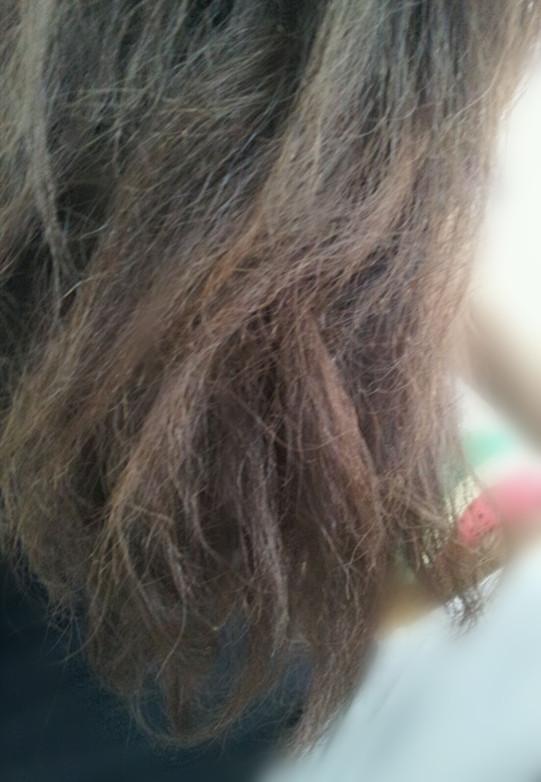 沙发的发质还有可能改变吗