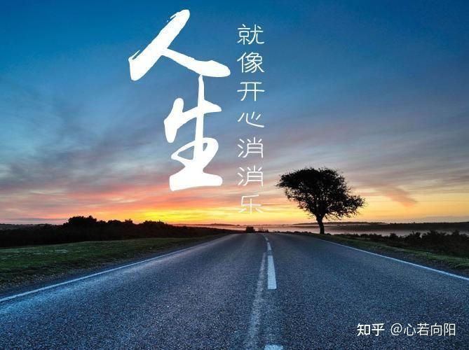 学会让爱和乐观成为生活的解药