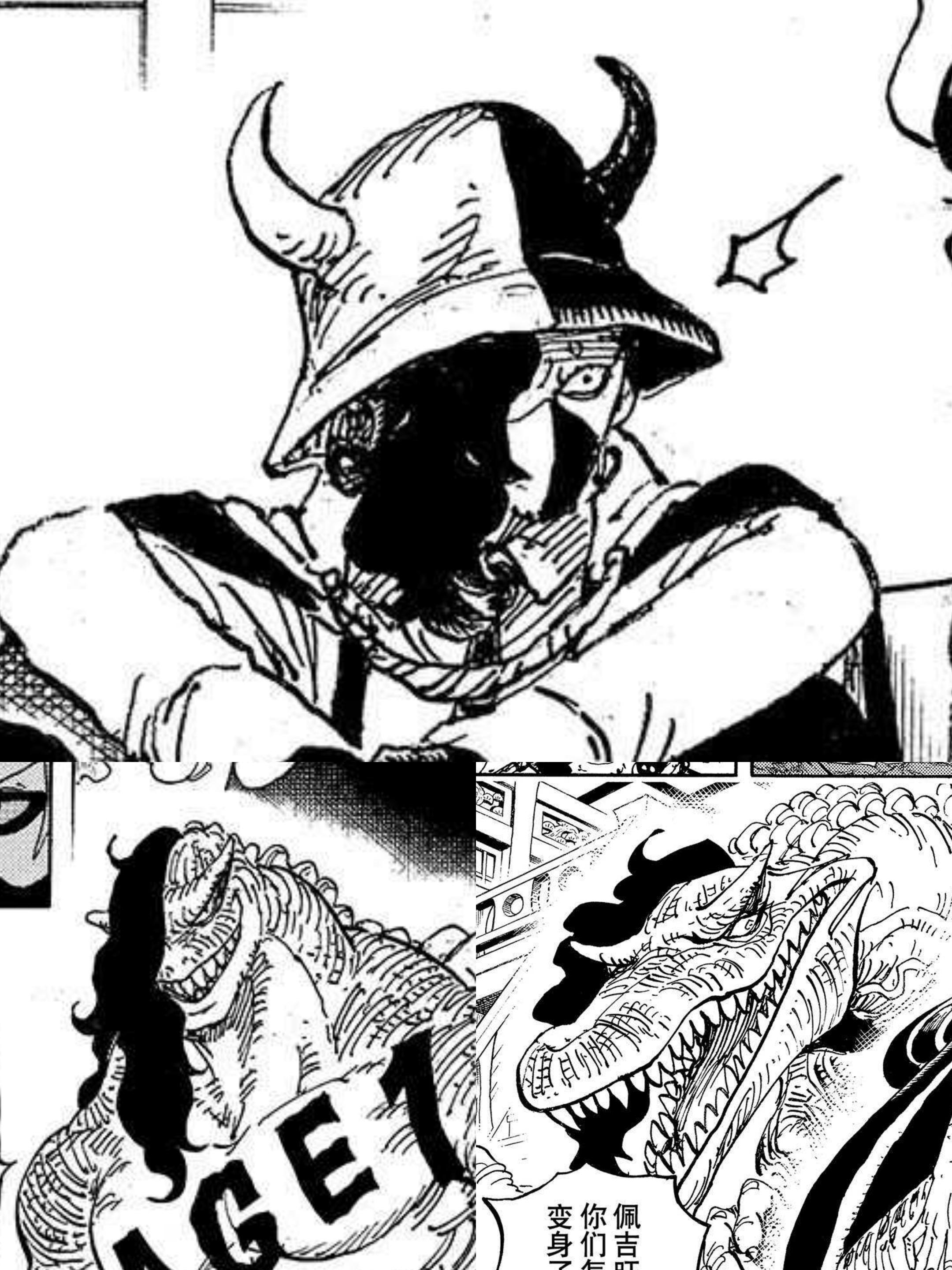 飞六胞的犄角讨论润媞姐弟或有斗鱼血统