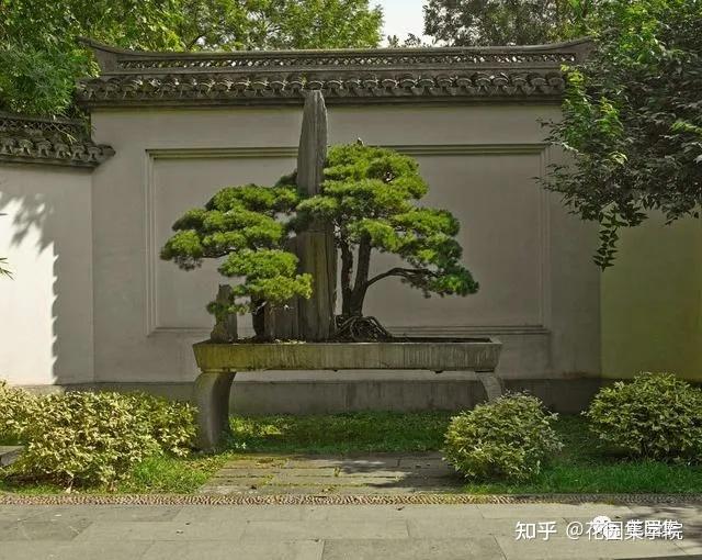 日式庭院该配什么植物？怎么配？看这里~ - 知乎