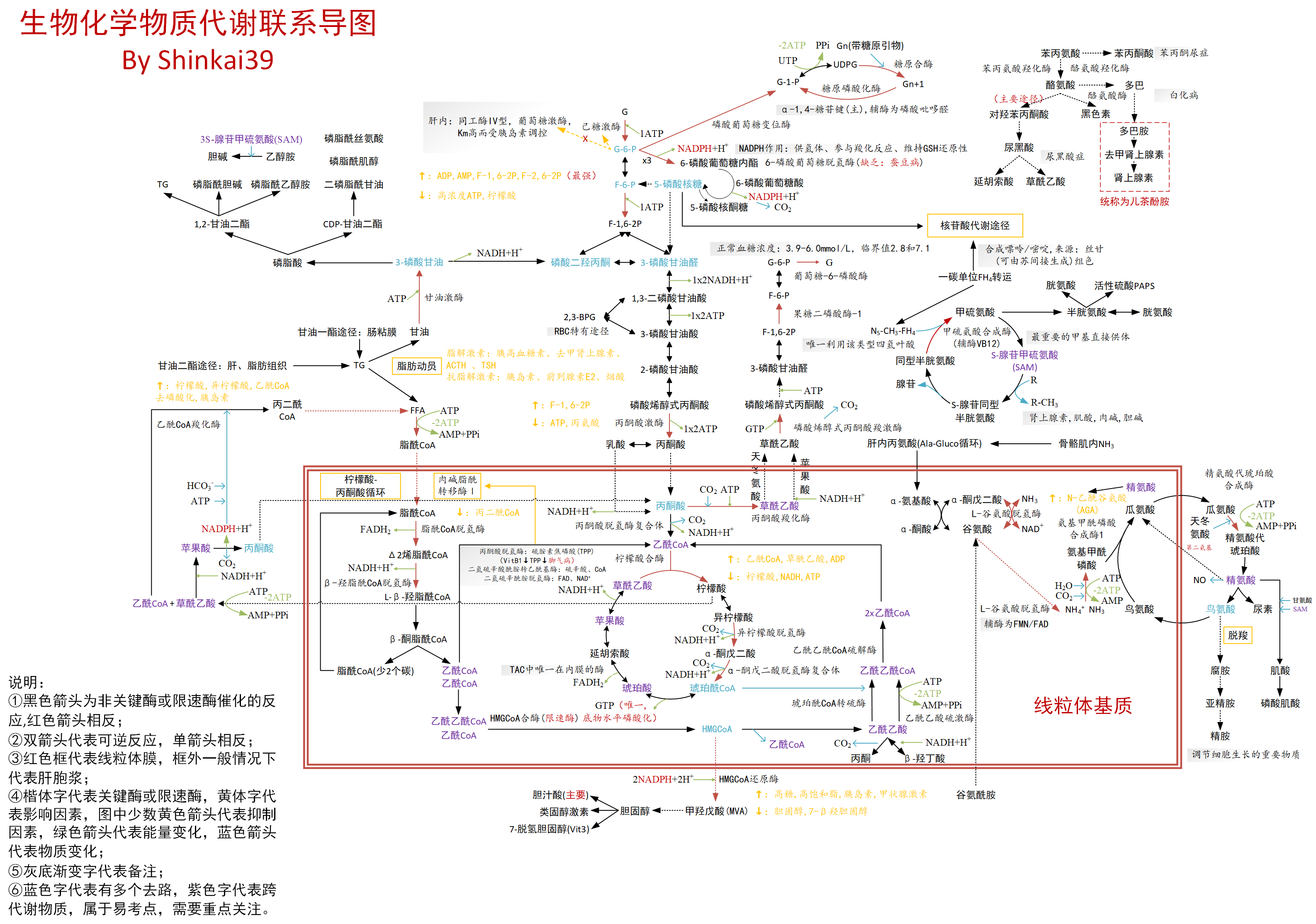 生物化学物质代谢联系思维导图 - 知乎