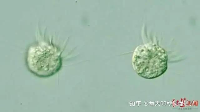 1月7日,星期六,在这里每天60秒读懂世界! 1月7日,星期六,在这里每天60秒读懂世界!