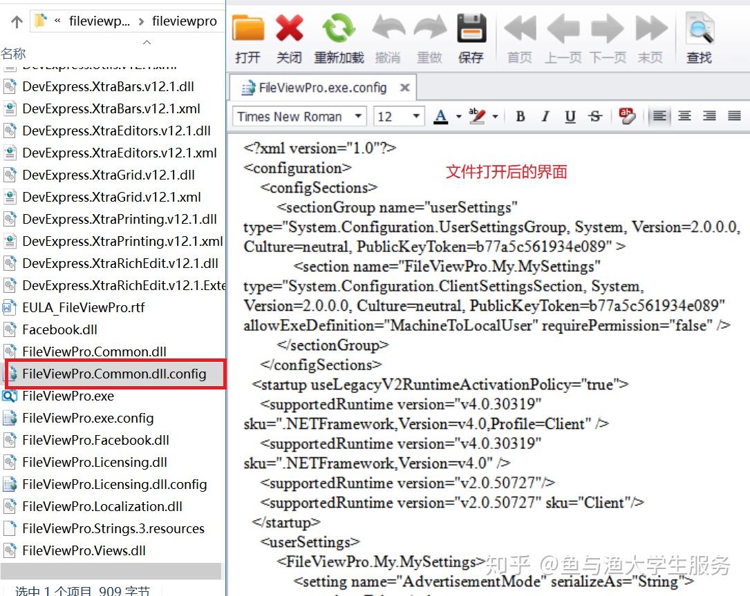 fileviewpro中文绿色和谐版 - 知乎