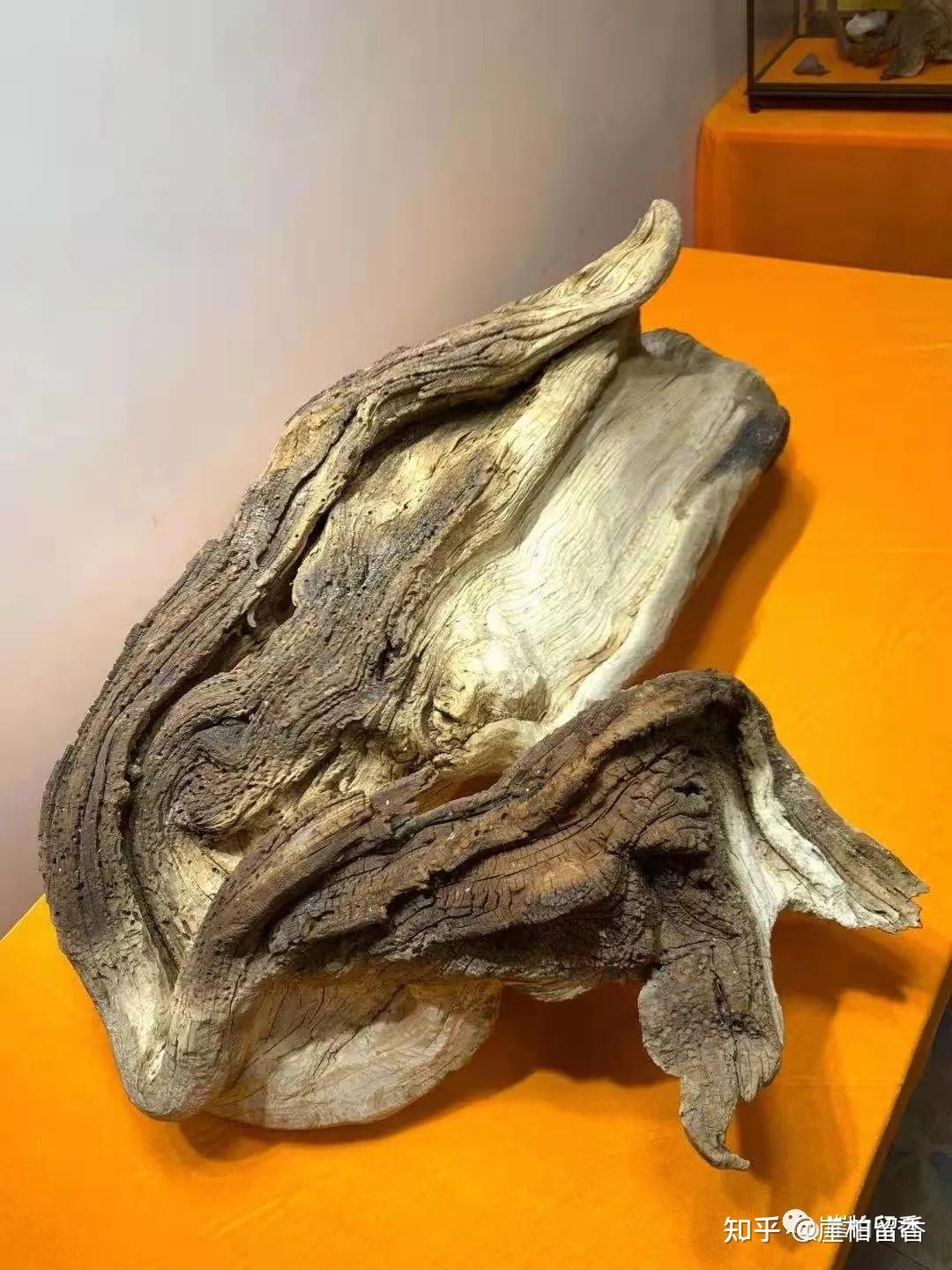 高人透彻分析崖柏香料究竟如何? - 知乎