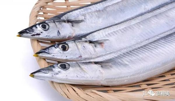 水针鱼 记一位腹黑而貌美的体操运动员 知乎