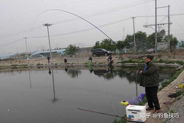 什么是钓技？钓技包含哪些方面？钓鱼技巧的4个方面内容- 知乎