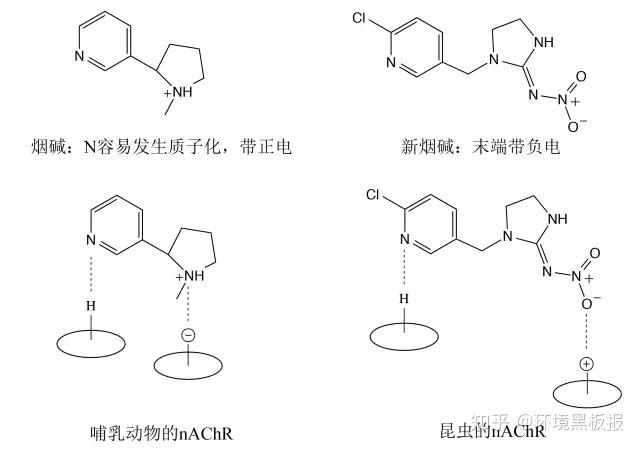 风口浪尖的新烟碱 - 知乎