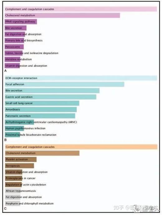 一文读懂基因富集分析：从小白到SCI - 知乎