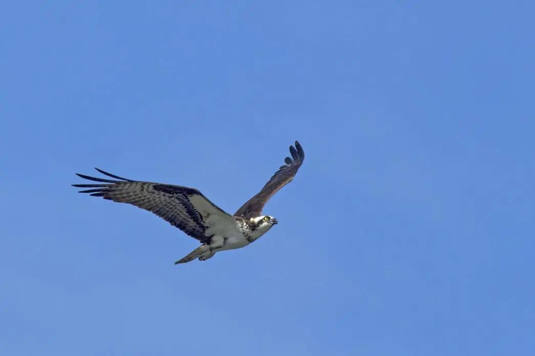 赋能:让羽翼坚强腾飞更有力量