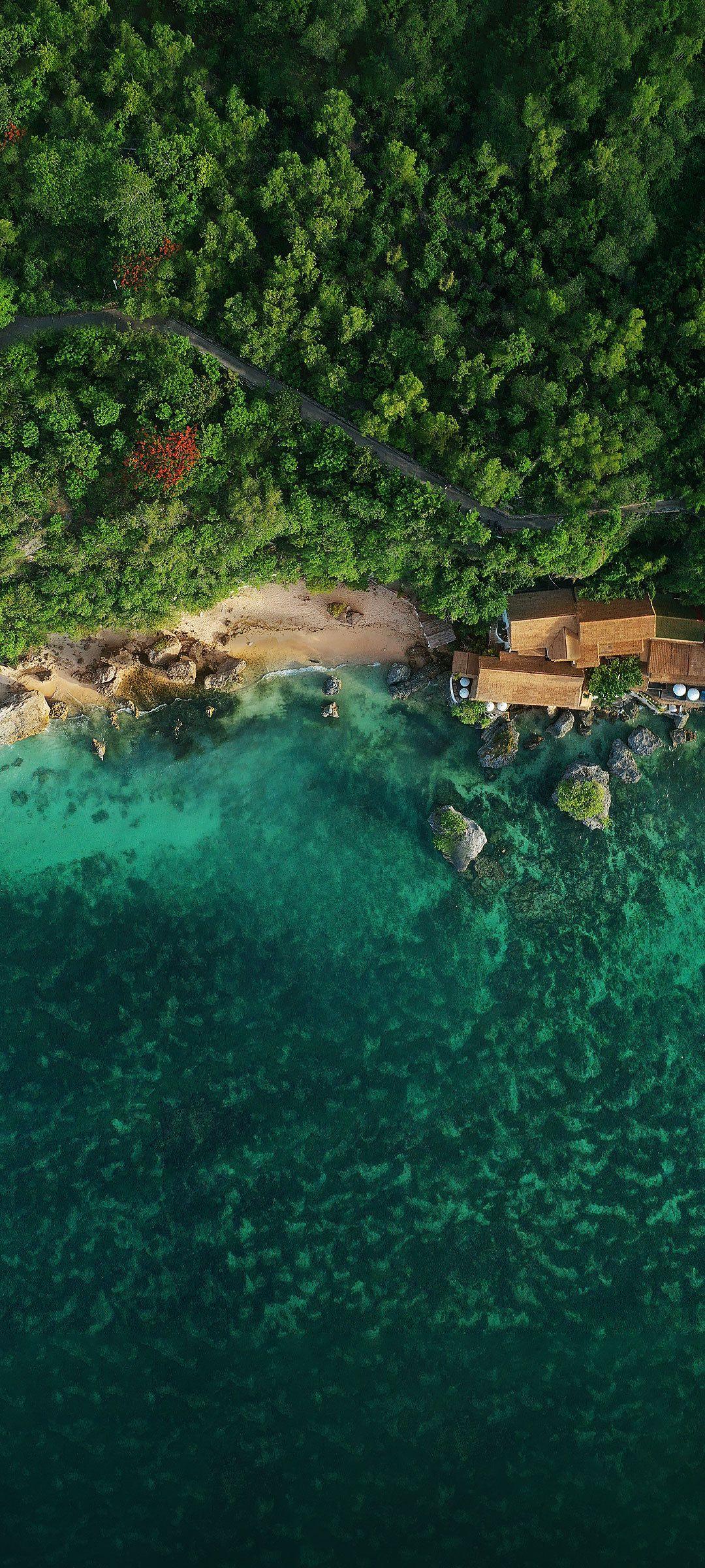 叶海林
