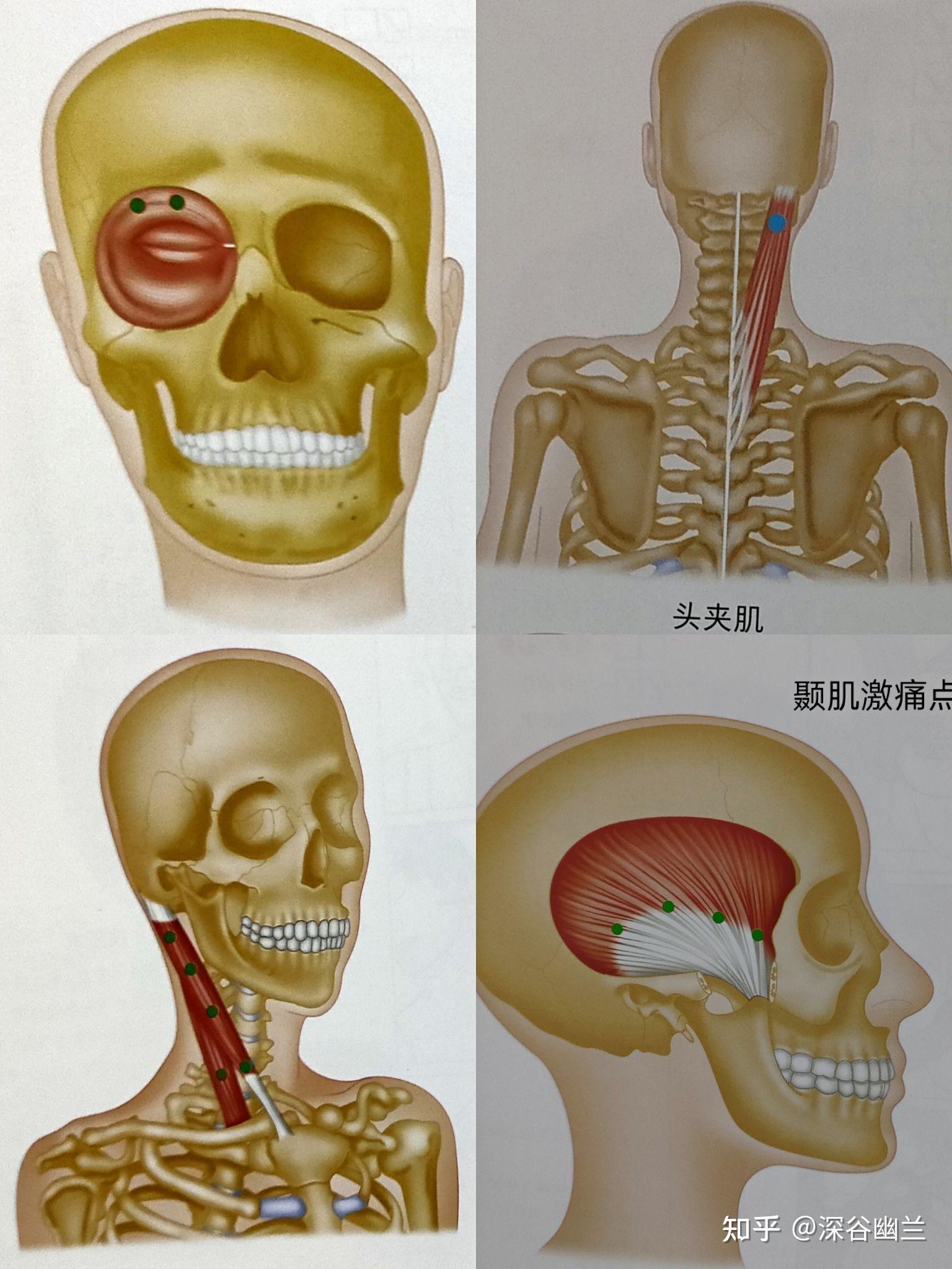 蝶竇區疼痛的居家調養