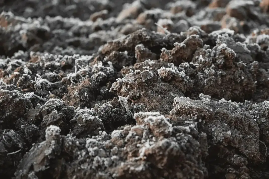 一,什么是特殊土