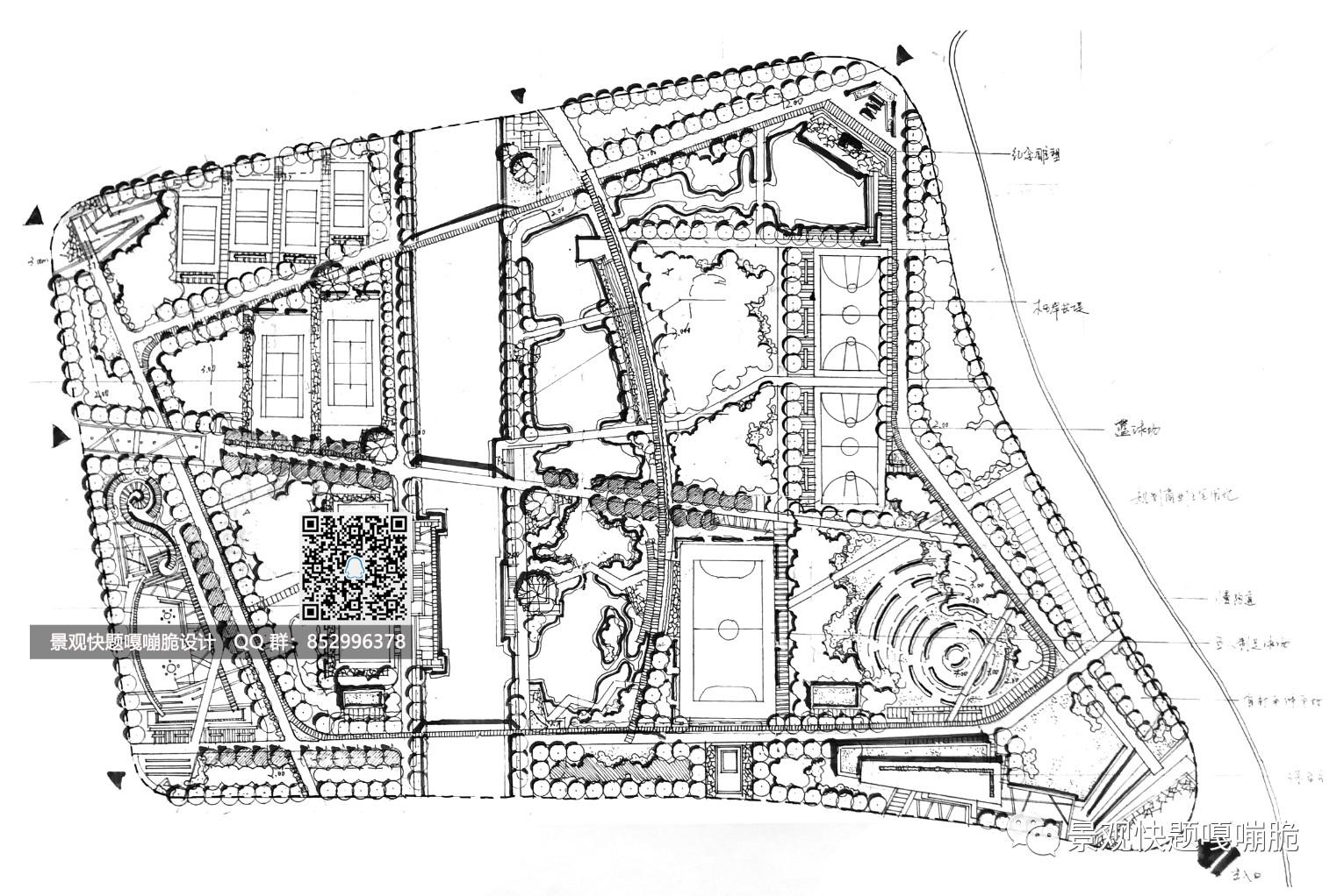 浙农林2020风景园林真题解析体育公园