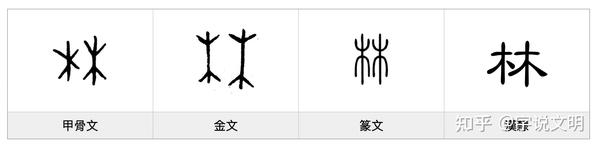 林——每日一字·木部字 知乎